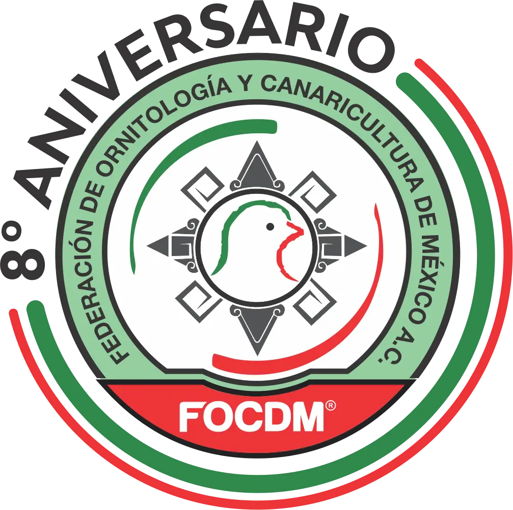 FOCDM
