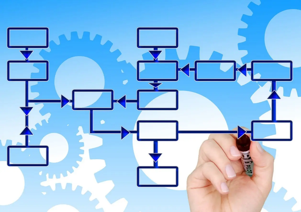 Organigrama del club FOCDM